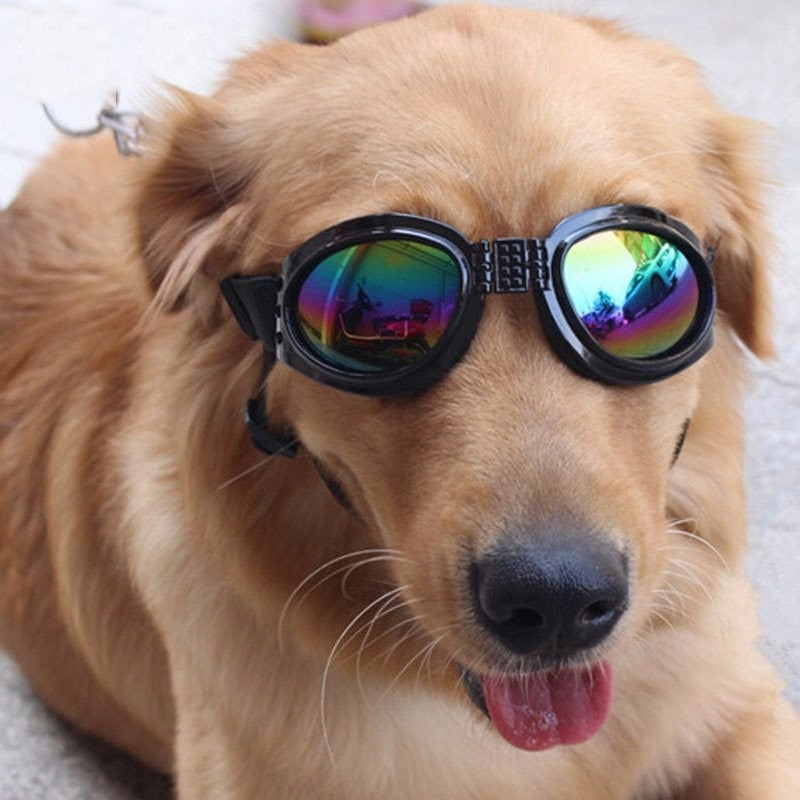 Retro Dog Goggles