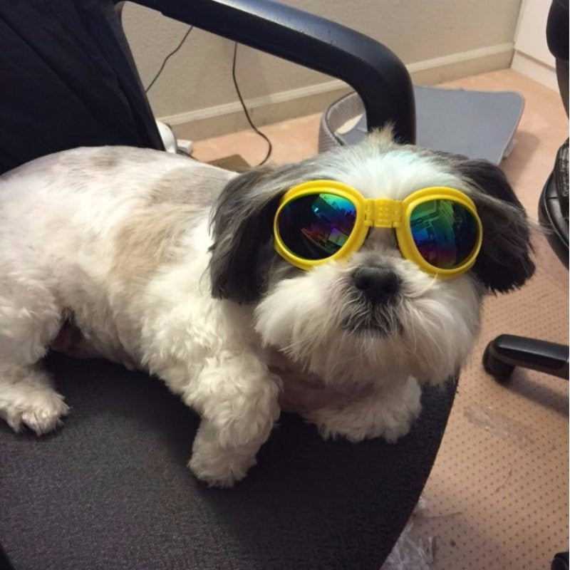 Retro Dog Goggles