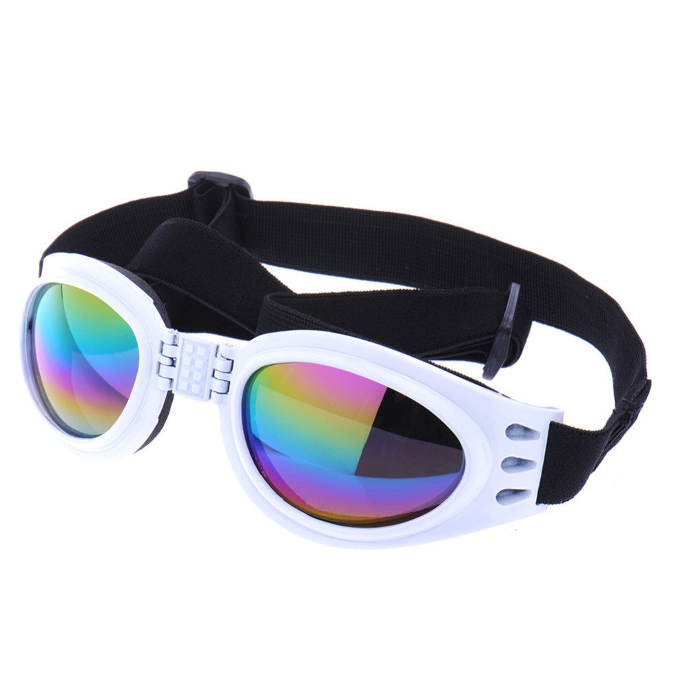 Retro Dog Goggles