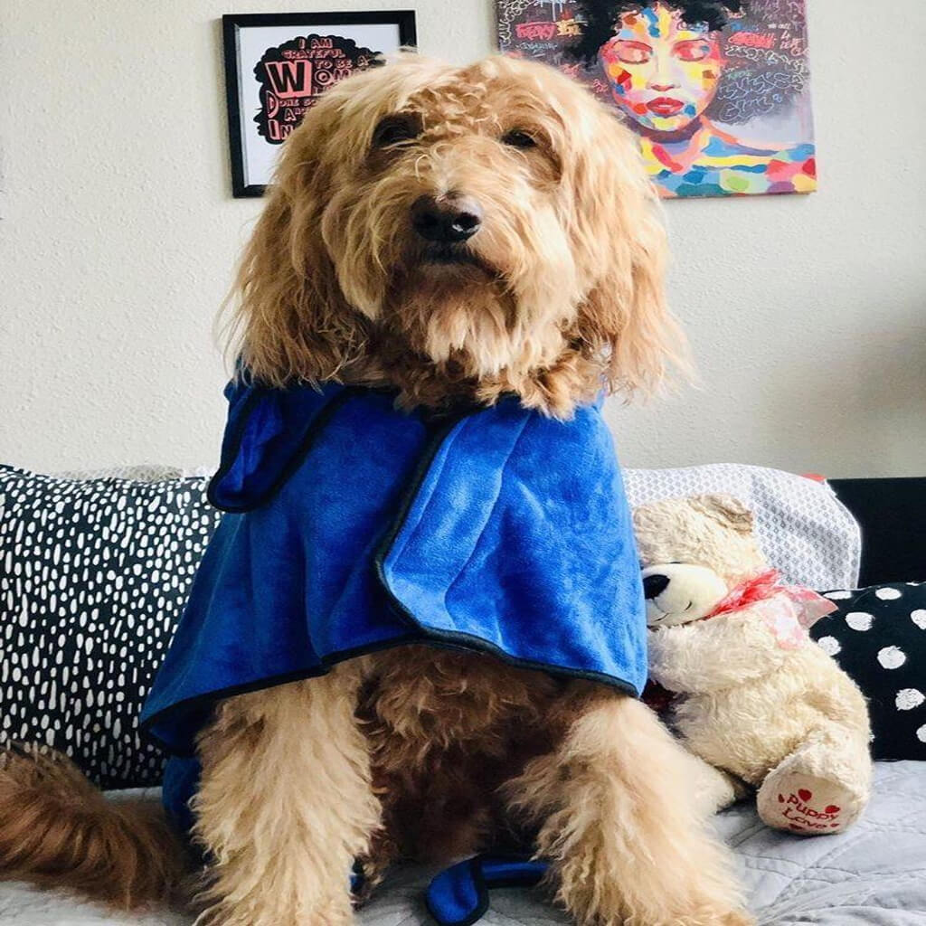 Deluxe Dog Bathrobe