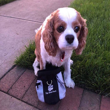 Adventurer Dog Treat Pouch - The Happy Cerberus