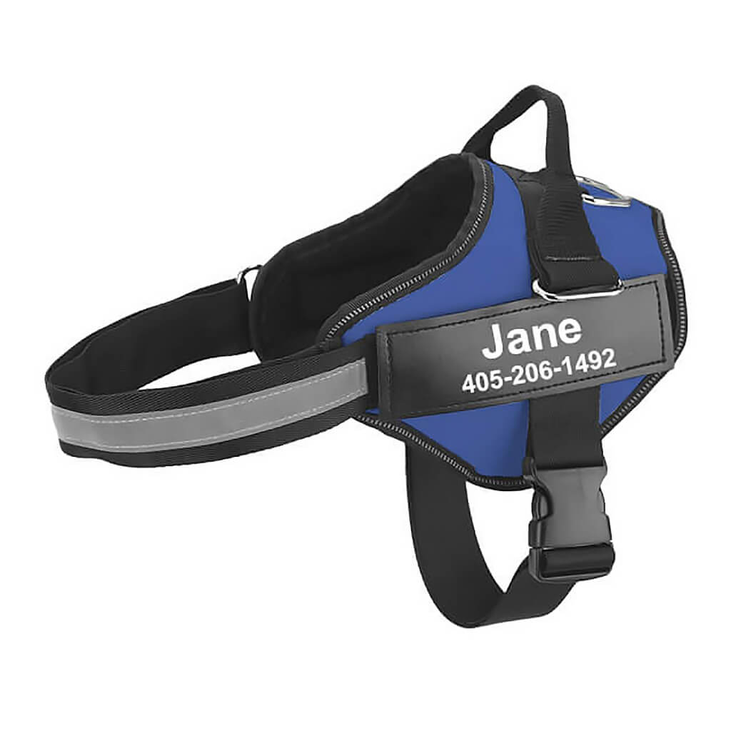 Blue no pull dog harness