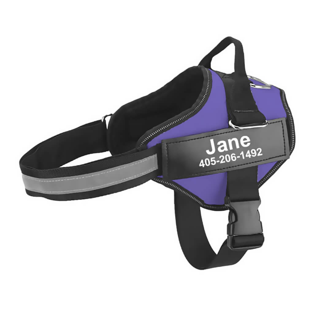 Purple no pull dog harness