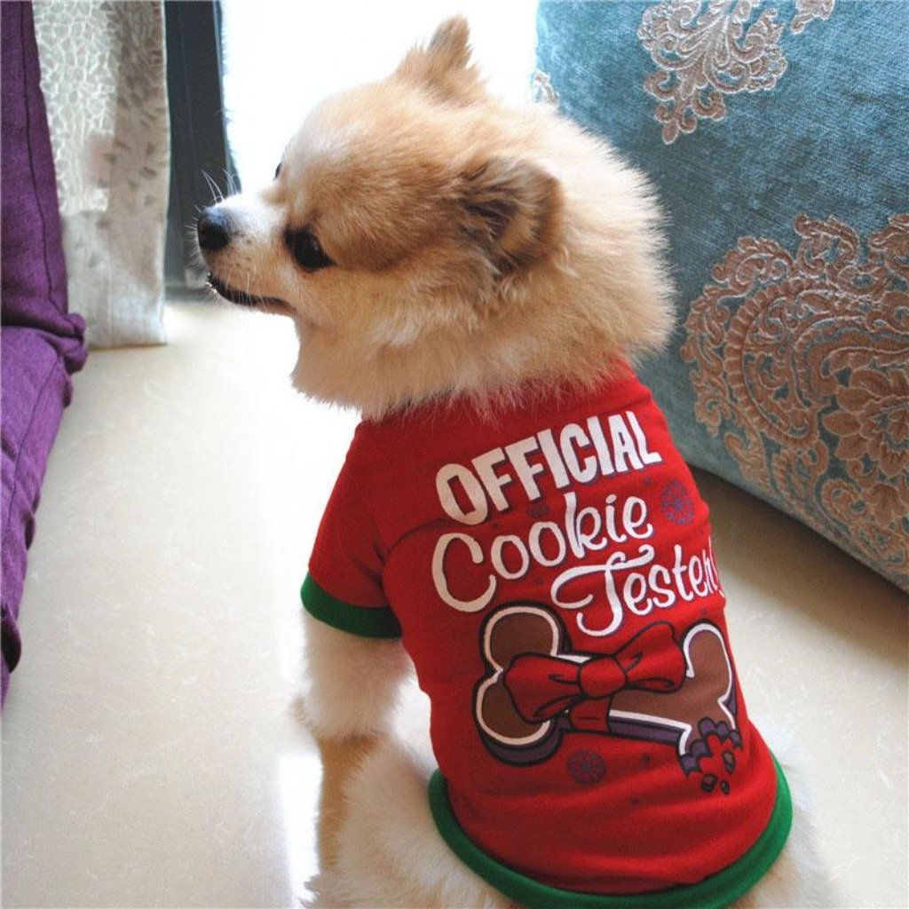 Official Cookie Tester Sweater - The Happy Cerberus