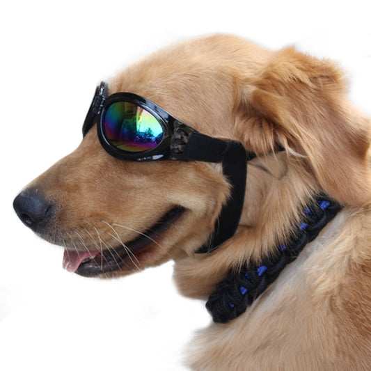 Retro Dog Goggles